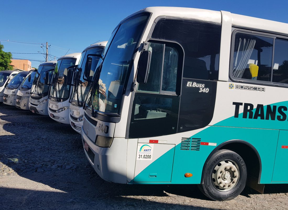 Coaches shown in Transponteio’s published transport gallery